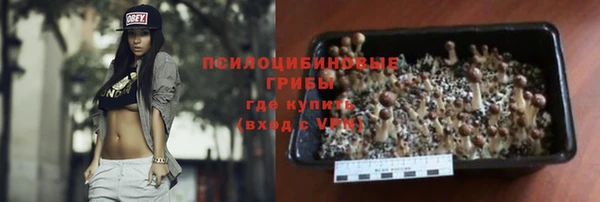 СК Куйбышев