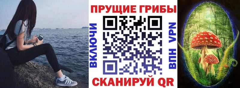 где найти   мега ТОР  Псилоцибиновые грибы мухоморы  Лангепас 